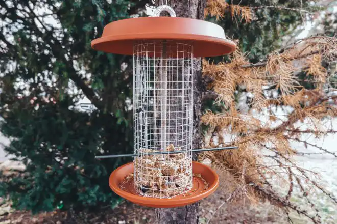 ساخت ایستگاه قفس پرنده با توری مش در منزل برای علاقمندان به پرندگان