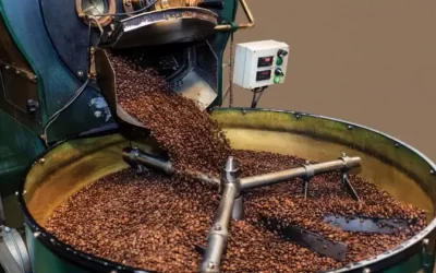 فرآوری قهوه چیست؟