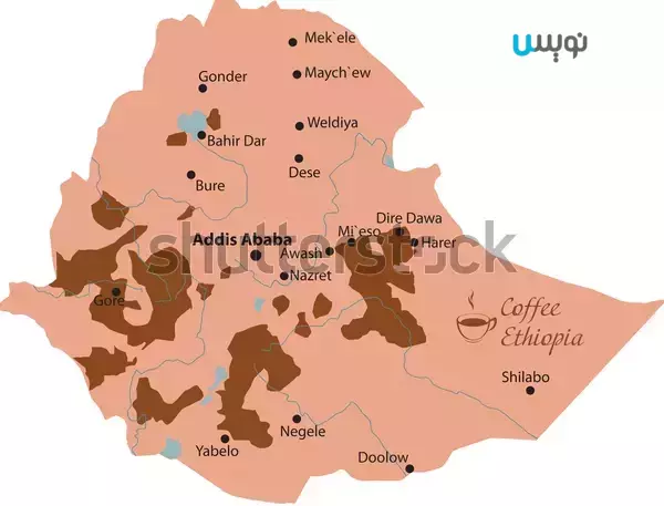 اتیوپی زادگاه قهوه