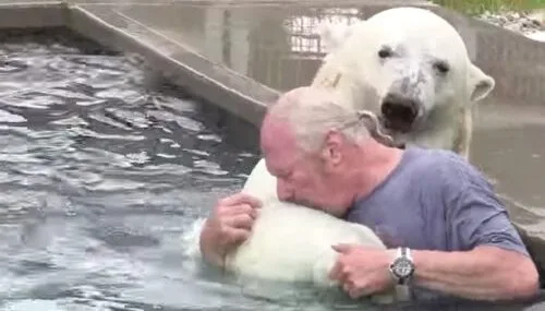خرس قطبی عجیب ترین حیوانات خانگی