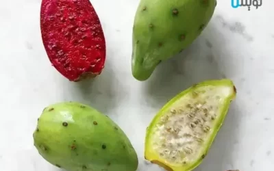 همه چیز در مورد میوه کاکتوس