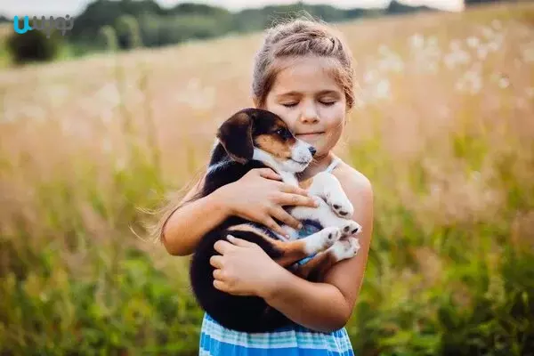 حیوانات خانگی و کودکان اجتماعی عاطفی