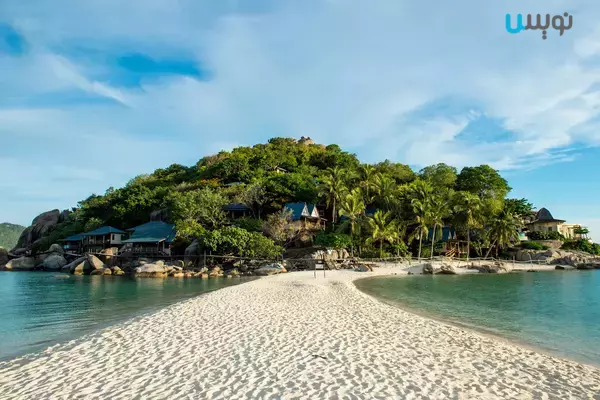 جزیره  غواصی تایلند کوه تائو