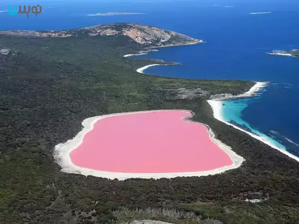 دریاچه هیلیر، استرالیا