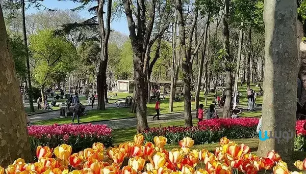 پارک گلهنه ترکیه