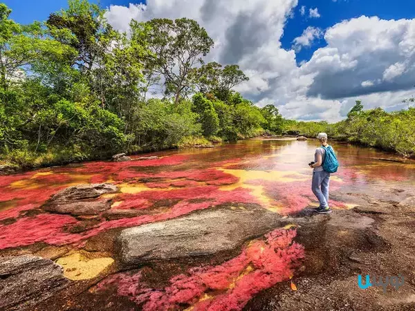 رودخانه رنگین کمان، کلمبیا