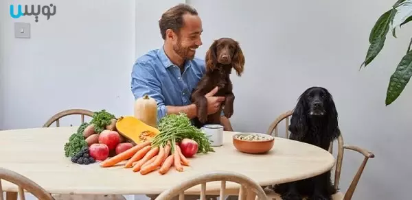 غذای خام سگ با میوه و سبزیجات